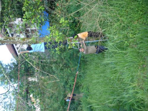 DSC09916_1